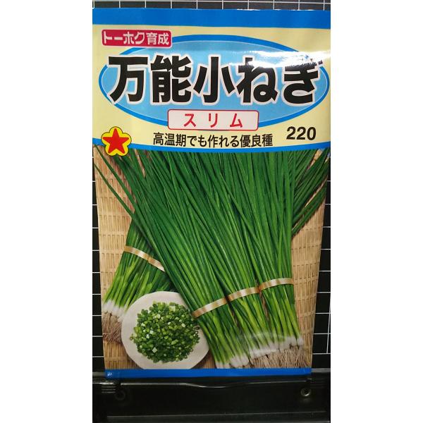 合計350円以下でのご注文は、申し訳ありませんがお受けできなくなっております。在庫切れ防止のため、実際の在庫数より販売可能数を少なく設定しております。まとまった数量をご希望の場合は、お問い合わせください。いろいろな品種を、よりどり３袋以上で...