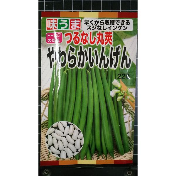 合計350円以下でのご注文は、申し訳ありませんがお受けできなくなっております。在庫切れ防止のため、実際の在庫数より販売可能数を少なく設定しております。まとまった数量をご希望の場合は、お問い合わせください。いろいろな品種を、よりどり３袋以上で...