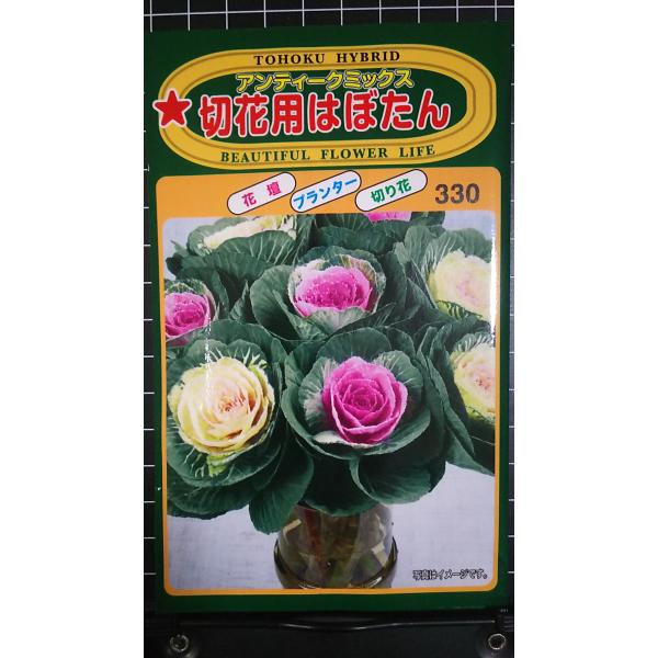 合計350円以下でのご注文は、申し訳ありませんがお受けできなくなっております。在庫切れ防止のため、実際の在庫数より販売可能数を少なく設定しております。まとまった数量をご希望の場合は、お問い合わせください。いろいろな品種を、よりどり３袋以上で...