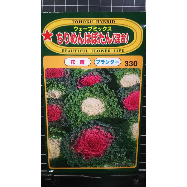 合計350円以下でのご注文は、申し訳ありませんがお受けできなくなっております。在庫切れ防止のため、実際の在庫数より販売可能数を少なく設定しております。まとまった数量をご希望の場合は、お問い合わせください。いろいろな品種を、よりどり３袋以上で...