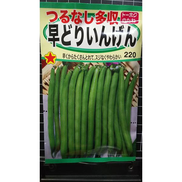 合計350円以下でのご注文は、申し訳ありませんがお受けできなくなっております。在庫切れ防止のため、実際の在庫数より販売可能数を少なく設定しております。まとまった数量をご希望の場合は、お問い合わせください。いろいろな品種を、よりどり３袋以上で...