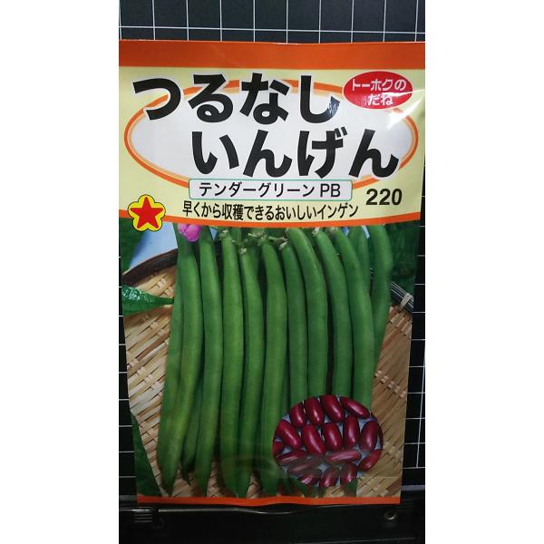 合計350円以下でのご注文は、申し訳ありませんがお受けできなくなっております。在庫切れ防止のため、実際の在庫数より販売可能数を少なく設定しております。まとまった数量をご希望の場合は、お問い合わせください。いろいろな品種を、よりどり３袋以上で...