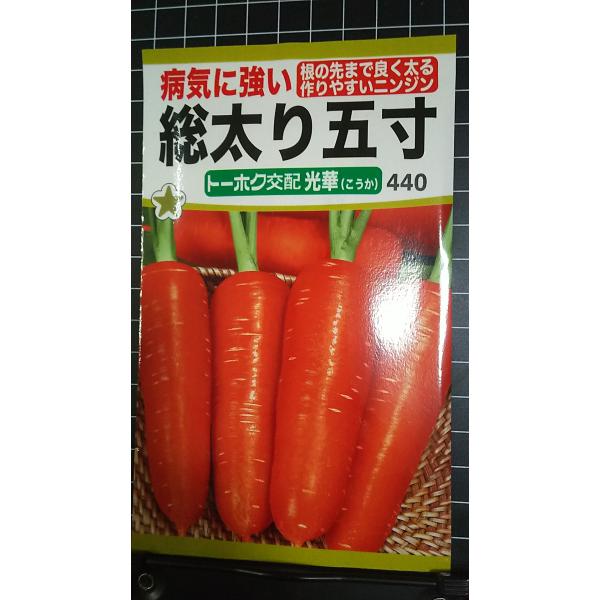合計350円以下でのご注文は、申し訳ありませんがお受けできなくなっております。在庫切れ防止のため、実際の在庫数より販売可能数を少なく設定しております。まとまった数量をご希望の場合は、お問い合わせください。いろいろな品種を、よりどり３袋以上で...