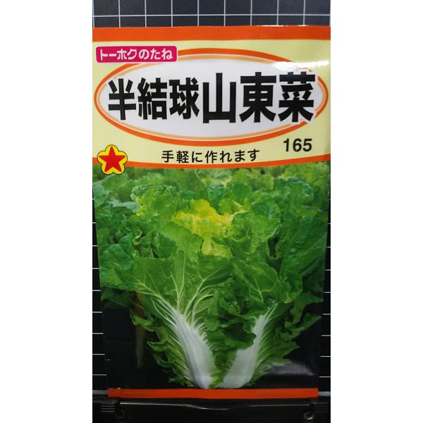 合計350円以下でのご注文は、申し訳ありませんがお受けできなくなっております。在庫切れ防止のため、実際の在庫数より販売可能数を少なく設定しております。まとまった数量をご希望の場合は、お問い合わせください。いろいろな品種を、よりどり３袋以上で...