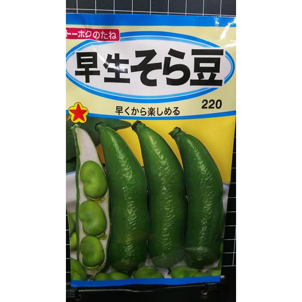 合計350円以下でのご注文は、申し訳ありませんがお受けできなくなっております。在庫切れ防止のため、実際の在庫数より販売可能数を少なく設定しております。まとまった数量をご希望の場合は、お問い合わせください。いろいろな品種を、よりどり３袋以上で...