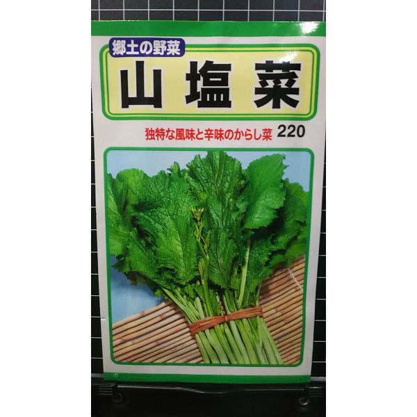 合計350円以下でのご注文は、申し訳ありませんがお受けできなくなっております。在庫切れ防止のため、実際の在庫数より販売可能数を少なく設定しております。まとまった数量をご希望の場合は、お問い合わせください。いろいろな品種を、よりどり３袋以上で...