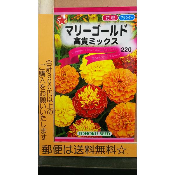 種 マリーゴールドの人気商品 通販 価格比較 価格 Com