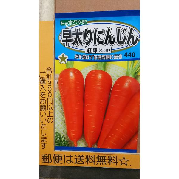 ニンジン 種の価格と最安値|おすすめ通販を激安で ニンジン 種の価格と最安値|おすすめ通販を激安で