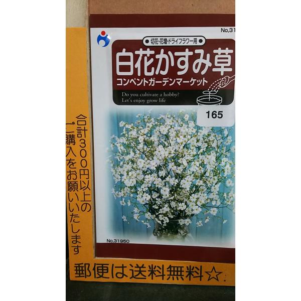 花 カスミソウ 種の人気商品 通販 価格比較 価格 Com