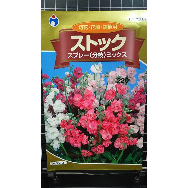合計350円以下でのご注文は、申し訳ありませんがお受けできなくなっております。在庫切れ防止のため、実際の在庫数より販売可能数を少なく設定しております。まとまった数量をご希望の場合は、お問い合わせください。いろいろな品種を、よりどり３袋以上で...