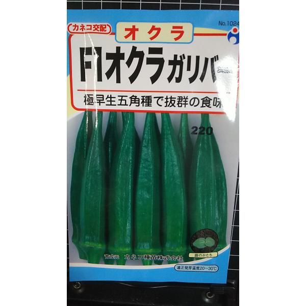 合計350円以下でのご注文は、申し訳ありませんがお受けできなくなっております。在庫切れ防止のため、実際の在庫数より販売可能数を少なく設定しております。まとまった数量をご希望の場合は、お問い合わせください。いろいろな品種を、よりどり３袋以上で...