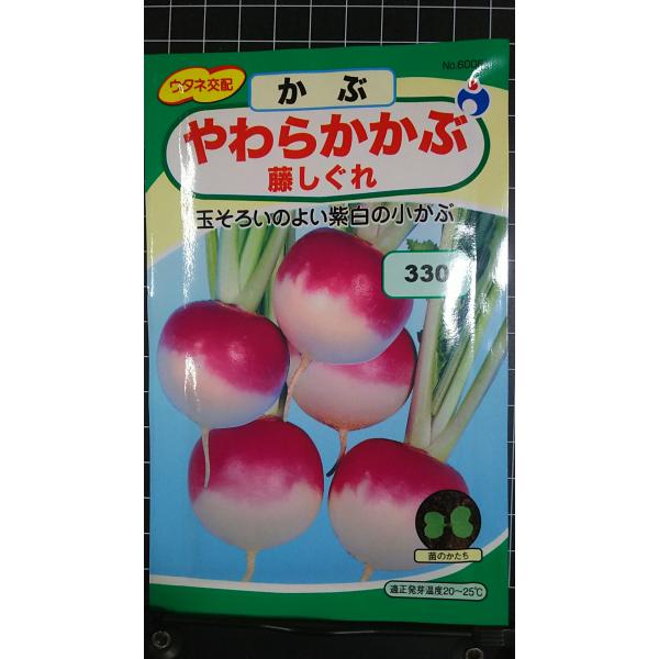 合計350円以下でのご注文は、申し訳ありませんがお受けできなくなっております。在庫切れ防止のため、実際の在庫数より販売可能数を少なく設定しております。まとまった数量をご希望の場合は、お問い合わせください。いろいろな品種を、よりどり３袋以上で...