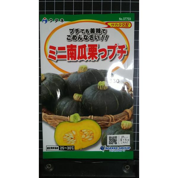 合計350円以下でのご注文は、申し訳ありませんがお受けできなくなっております。在庫切れ防止のため、実際の在庫数より販売可能数を少なく設定しております。まとまった数量をご希望の場合は、お問い合わせください。いろいろな品種を、よりどり３袋以上で...