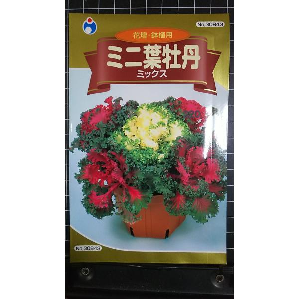 合計350円以下でのご注文は、申し訳ありませんがお受けできなくなっております。在庫切れ防止のため、実際の在庫数より販売可能数を少なく設定しております。まとまった数量をご希望の場合は、お問い合わせください。いろいろな品種を、よりどり３袋以上で...