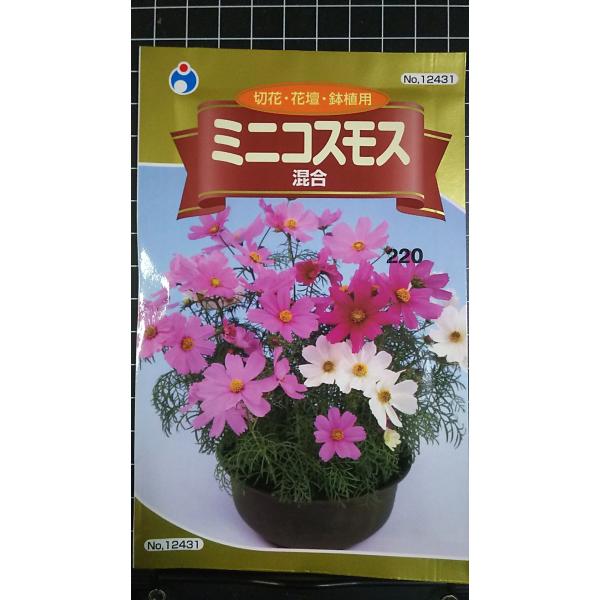 合計350円以下でのご注文は、申し訳ありませんがお受けできなくなっております。在庫切れ防止のため、実際の在庫数より販売可能数を少なく設定しております。まとまった数量をご希望の場合は、お問い合わせください。いろいろな品種を、よりどり３袋以上で...
