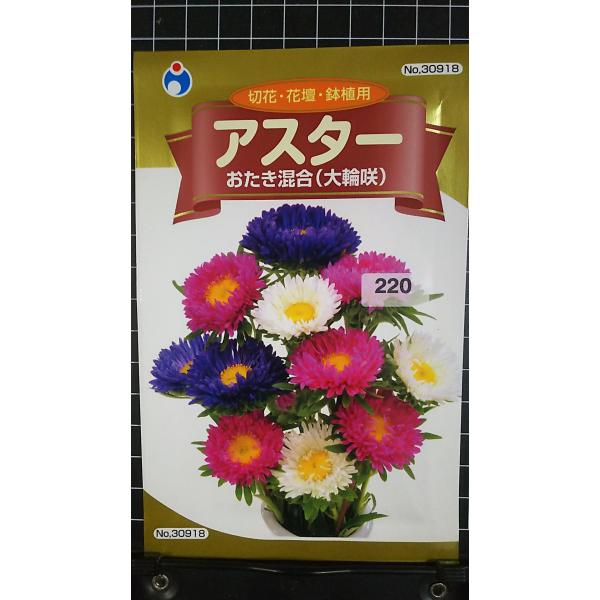 合計350円以下でのご注文は、申し訳ありませんがお受けできなくなっております。在庫切れ防止のため、実際の在庫数より販売可能数を少なく設定しております。まとまった数量をご希望の場合は、お問い合わせください。いろいろな品種を、よりどり３袋以上で...