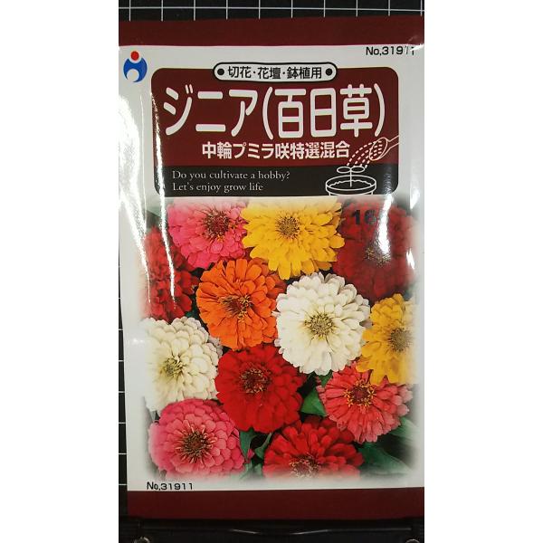 合計350円以下でのご注文は、申し訳ありませんがお受けできなくなっております。在庫切れ防止のため、実際の在庫数より販売可能数を少なく設定しております。まとまった数量をご希望の場合は、お問い合わせください。いろいろな品種を、よりどり３袋以上で...