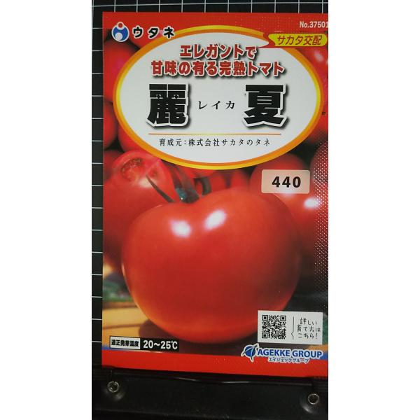 合計350円以下でのご注文は、申し訳ありませんがお受けできなくなっております。在庫切れ防止のため、実際の在庫数より販売可能数を少なく設定しております。まとまった数量をご希望の場合は、お問い合わせください。いろいろな品種を、よりどり３袋以上で...