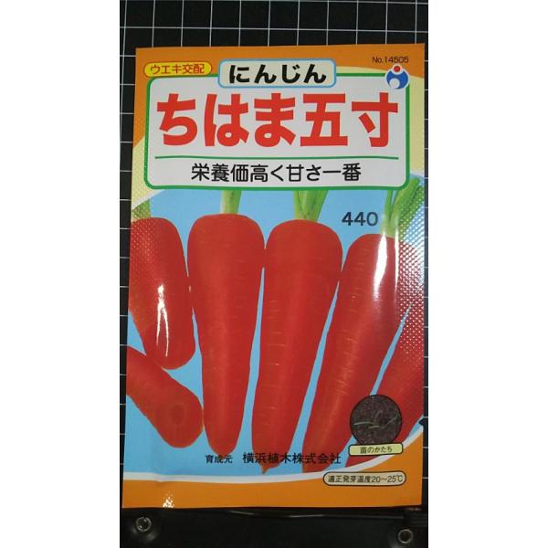 合計350円以下でのご注文は、申し訳ありませんがお受けできなくなっております。在庫切れ防止のため、実際の在庫数より販売可能数を少なく設定しております。まとまった数量をご希望の場合は、お問い合わせください。いろいろな品種を、よりどり３袋以上で...