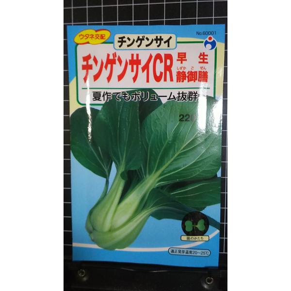合計350円以下でのご注文は、申し訳ありませんがお受けできなくなっております。在庫切れ防止のため、実際の在庫数より販売可能数を少なく設定しております。まとまった数量をご希望の場合は、お問い合わせください。いろいろな品種を、よりどり３袋以上で...