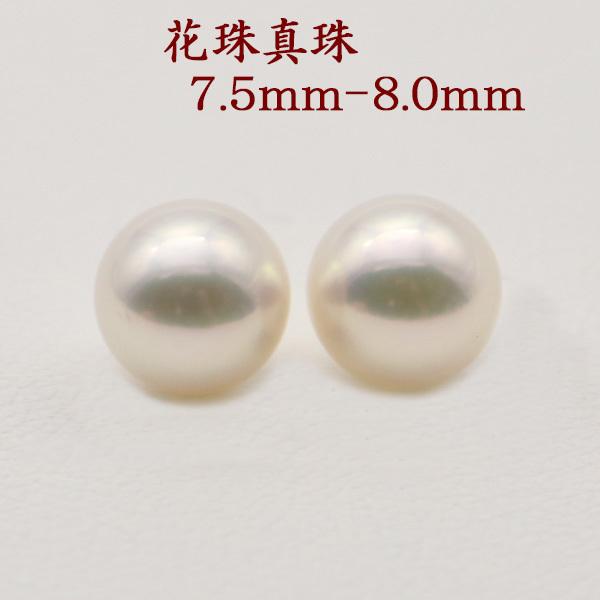 ^ sAX CO p[ yA[ [X ^ AR{^ 7.5mm-8mm Ԏ^ p[yA[[X Ԏ  tH[} 14896