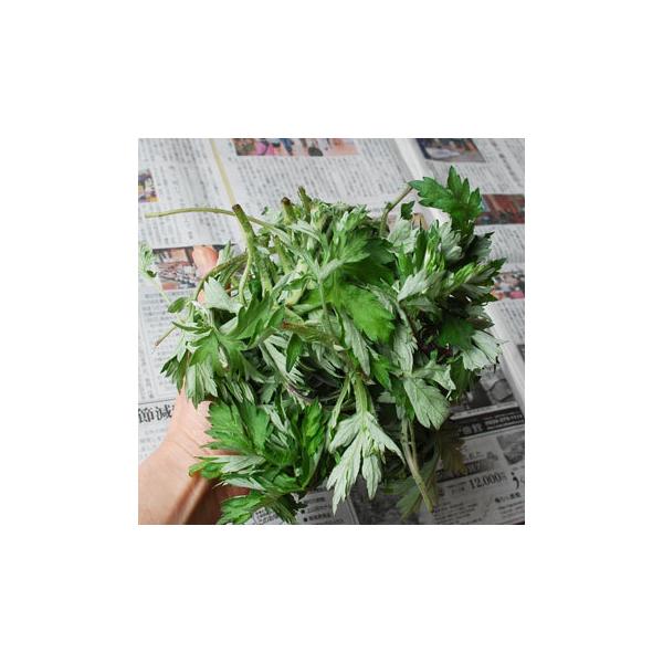 【ご注文前にご確認ください。】山菜は、その年の雪どけや霜の被害により採取時期が安定しません。そのため日時指定・曜日指定・早め希望等の出荷調整は一切お受けできません。また、お仕事やご旅行でご不在日が多いお客様も当店でのご注文をお控えいただけま...