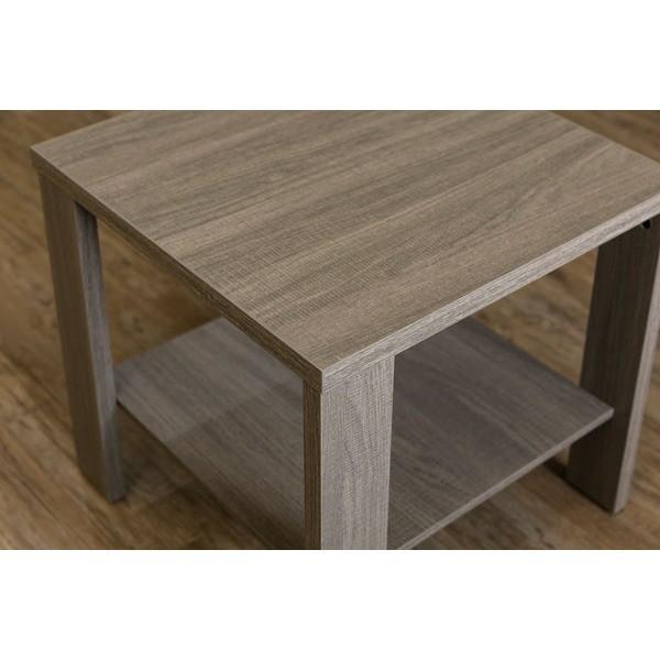 木目調サイドテーブル/ローテーブル (正方形 幅50cm×奥行50cm) アンティークブラウン 収納棚付き 『KENNY』 ds