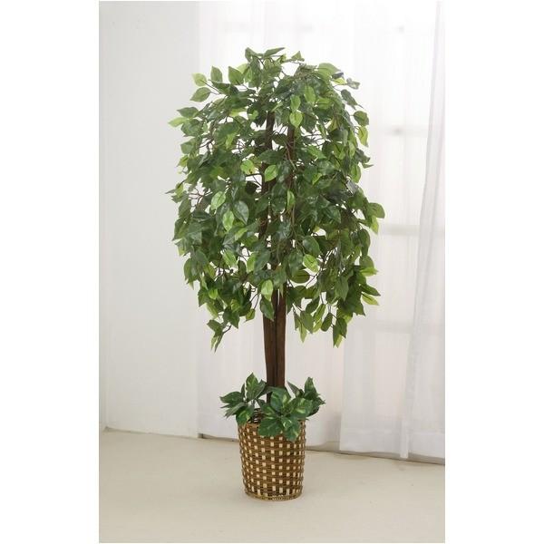 観葉植物 インテリアグリーン 人工観葉植物 2点セット ベンジャミン ベンジャミン 光触媒加工 幹 天然木使用 Www Fakfakkab Go Id