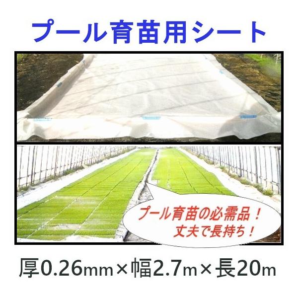 育苗プールシート 厚さ 0.26mm × 幅 2.7m × 長さ 20m 育苗用 プール 育苗シート  プール育苗