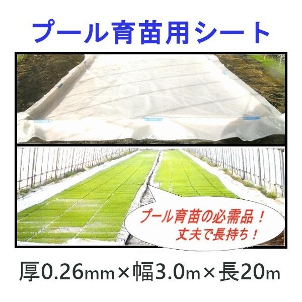 育苗プールシート 厚さ 0.26mm × 幅 3.0m × 長さ 20m 育苗用 プール シート  プール育苗