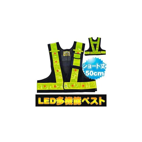 t[TCY ˃xXg sxXg ~YPC LEDt@\SxXg łI V[g50cm (xXg:/ˑ:F) 3012701  SxXg led