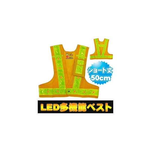 t[TCY ˃xXg sxXg  ~YPC LEDt@\SxXg łI V[g50cm (xXg:/ˑ:F) 3012703  SxXg led