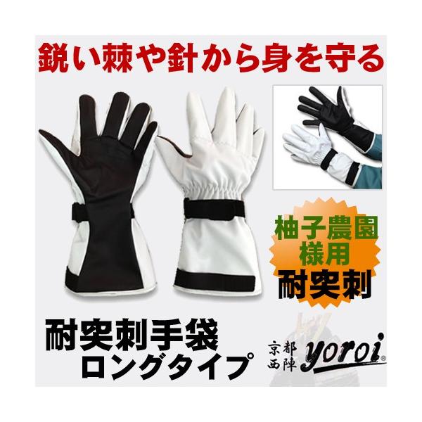 Mq_lp ʎdl   Ɨp܁@TNZXvjO   GABA-SPV[Y@ϓˎh^Cv܁@O^Cv i䂸_ƌjSP-5FY4