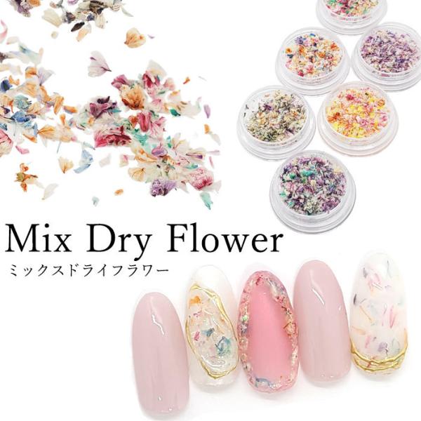 ネイルドライフラワー　ボックス入り ドライフラワー ミックス ドライ フラワー 1個【6色】 花 お花 花びら ケース入り