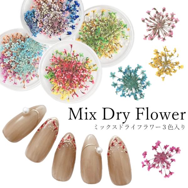 ミックス ドライフラワー  押し花 【 ケース入り】１個  ジェルネイル 花 お花 花びら ケース入り ドライフラワー