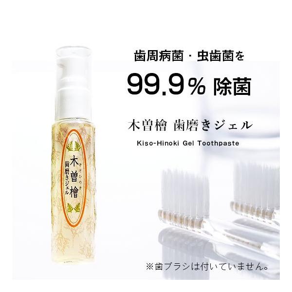 木曽檜三百年 木曽檜 歯磨きジェル 単品 50g プラスケア 木曽檜ジェル