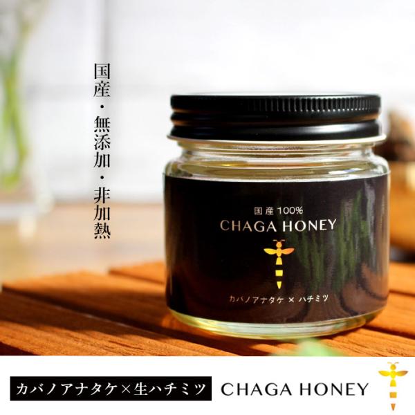 チャーガハニー CHAGA HONEY【 カバノアナタケ × 生ハチミツ 】 国産 無添加 非加熱 樺のあな茸 あな茸 チャーガ 蜂蜜 はちみつ 102ｇ プラスケア