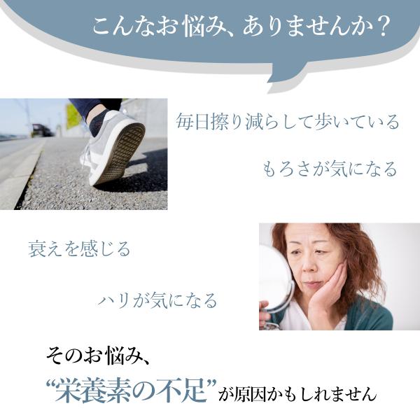 Dr Formula N アセチルグルコサミン Same コンドロイチン Msm ビタミンd 30日分 30粒 日本製 医療機関向け サプリ Buyee Buyee Japanese Proxy Service Buy From Japan Bot Online