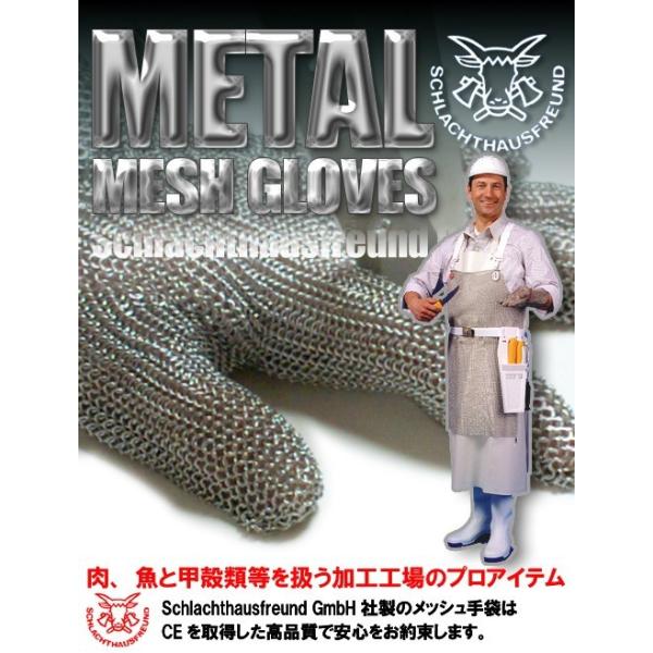 XeXbVO[u vebNS 20cm Jt^Cv