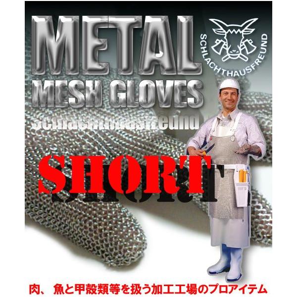 XeXbVO[u vebNS@V[g^Cv