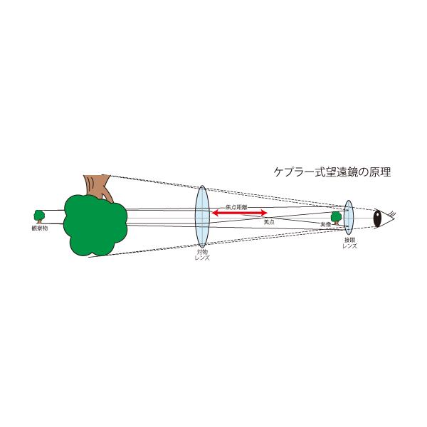 販売終了 手作り天体望遠鏡 倍率30倍 Buyee Buyee 日本の通販商品 オークションの代理入札 代理購入