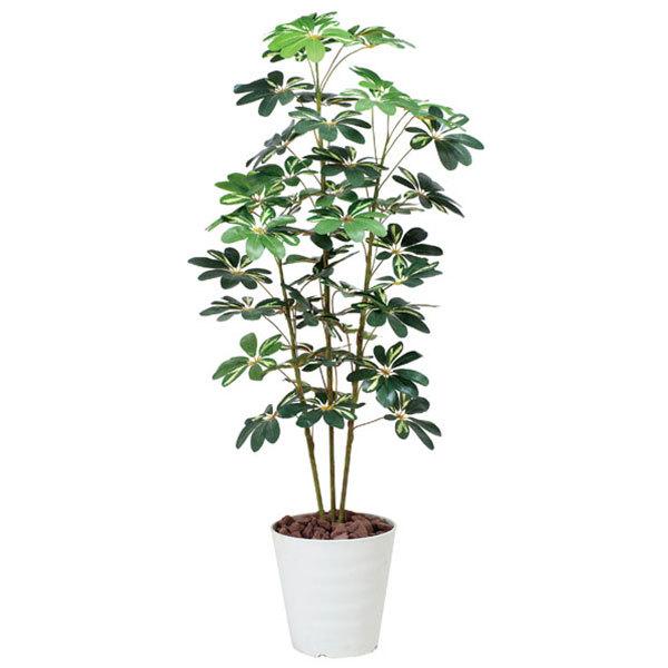 光触媒 観葉植物 リビング 室内 人工観葉植物 イミテーショングリーン 人工植物 消臭 カポック斑入り 1 5 Buyee Buyee Japanese Proxy Service Buy From Japan Bot Online