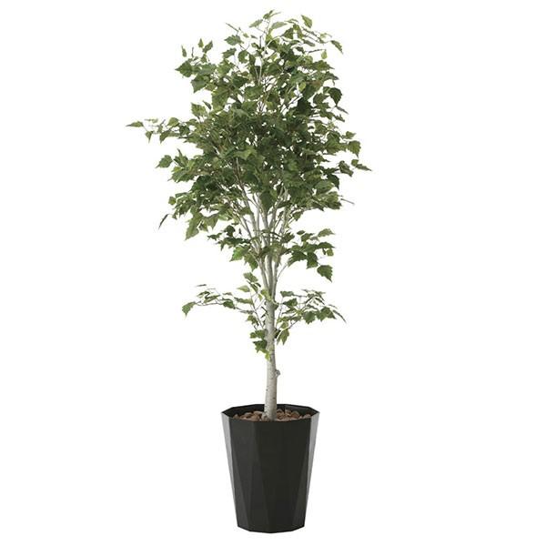 光触媒観葉植物 室内 大型 光触媒 観葉植物 植物 人工観葉植物 白樺1 9 高さ190cm 0119a 収納家具通販 アーネ 通販 Yahoo ショッピング