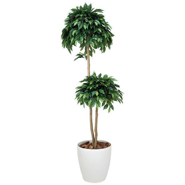 ベンジャミンダブル 高さ180cm フェイクグリーン 人工観葉植物 光触媒観葉植物 観葉植物 抗菌 花 ガーデニング 防汚 光触媒 消臭 防汚