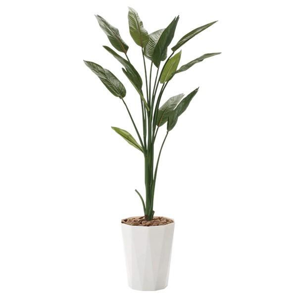 人工観葉植物 光触媒 観葉植物 フェイクグリーン インテリア 人工植物 高さ160cm ストレチア1 6 消臭 抗菌 防汚 0119a ソファ家具通販 Arne Style 通販 Yahoo ショッピング