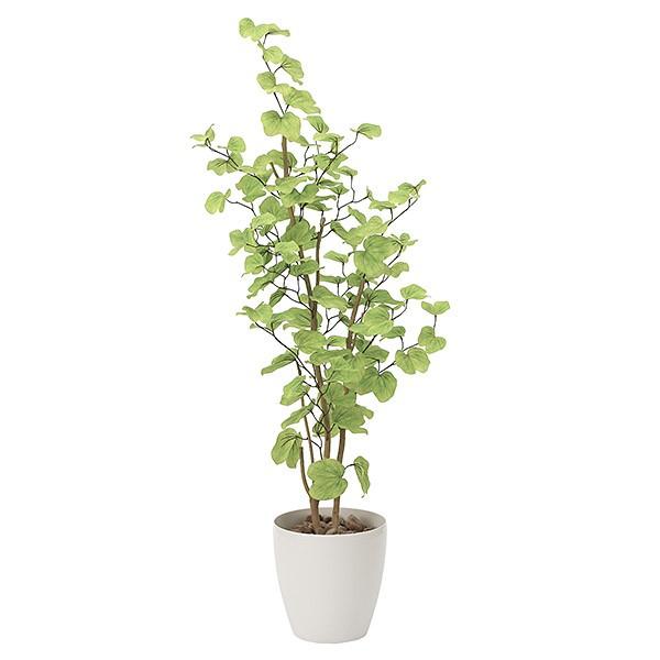 光触媒 観葉植物 植物 人工観葉植物 インテリア おしゃれ グリーン バウヒニア 高さ160cm 0119a ソファ家具通販 Arne Style 通販 Yahoo ショッピング