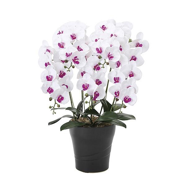 造花 アーティフィシャルフラワー 紫 胡蝶蘭」の人気商品一覧 | 安い