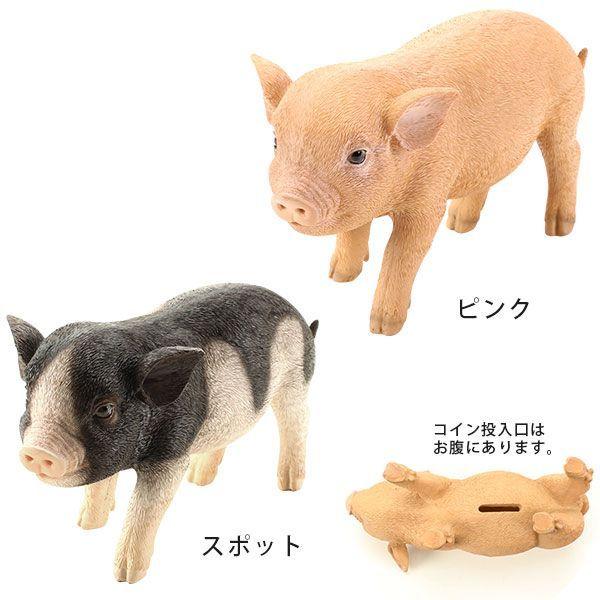 貯金箱 ブタ コインバンク おしゃれ おもしろ アニマル アニマルコインバンク Pet Bank Micro Pig ピンク スポット Buyee Buyee 日本の通販商品 オークションの代理入札 代理購入