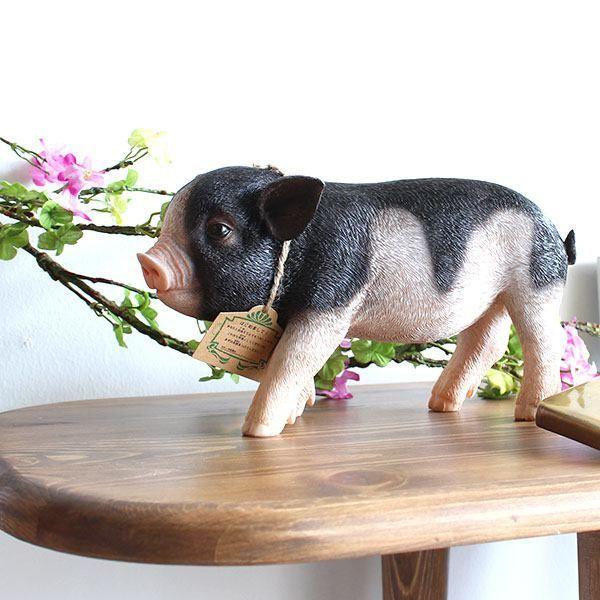 貯金箱 ブタ コインバンク おしゃれ おもしろ アニマル アニマルコインバンク Pet Bank Micro Pig ピンク スポット Buyee Buyee 日本の通販商品 オークションの代理入札 代理購入