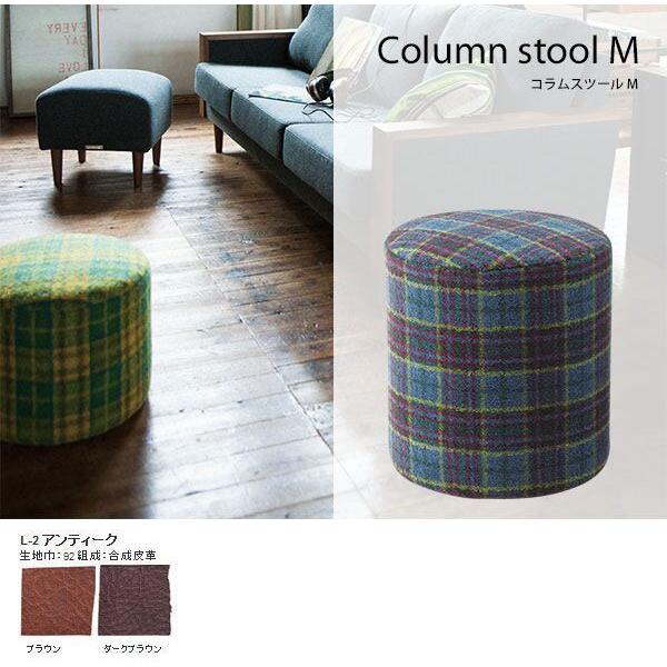 Xc[  ֎q ؐ z kƋ JtF { Column stool M L-2AeB[N